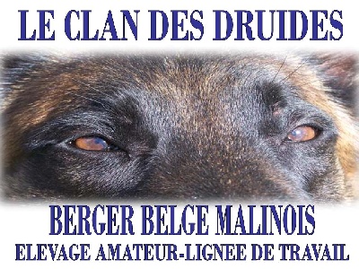 du clan des Druides